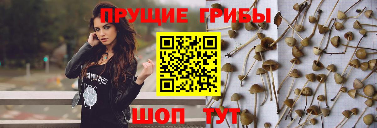 Псилоцибиновые грибы ЛСД  Вход с VPN  Котлас 