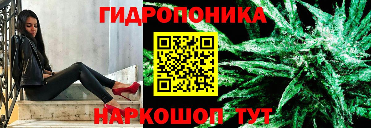 МАРИХУАНА White Widow Котлас